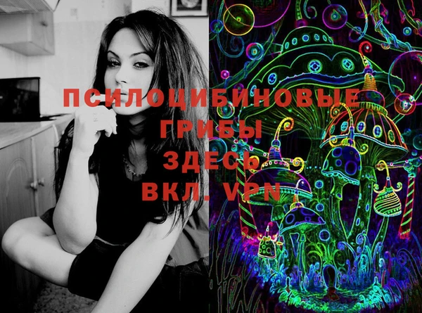 spice Алексин