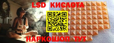СК Донецк