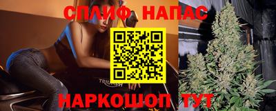 бошки Дубна