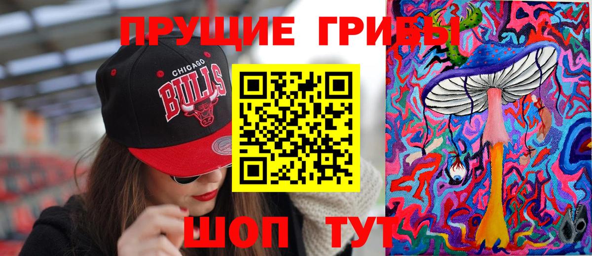 Псилоцибиновые грибы Psilocybine cubensis Нововоронеж