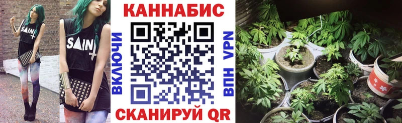 хочу наркоту  Нововоронеж  Марихуана индика 